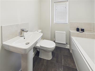 Picture 21